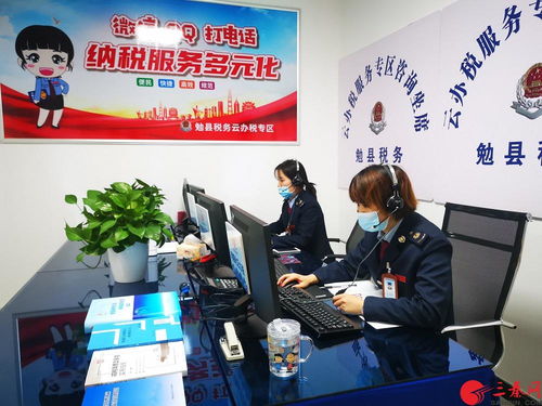 勉县税务 纳税服务 在云端 可视化 云办税 尽显服务温度