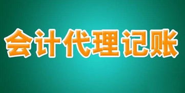 无 北京玺泰财务咨询有限责任公司
