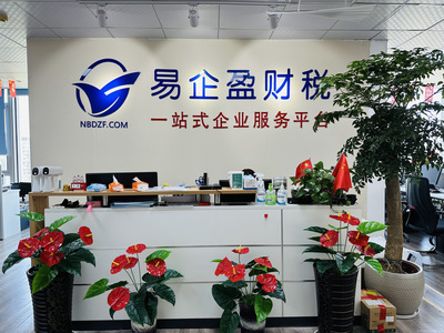 易企盈财务咨询公司