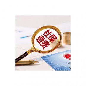 上海本地会计财务公司,闵行区代理记账,华漕附近代办申报纳税,财税咨询