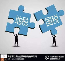 内蒙古纳税申报 以金财务 国税纳税申报