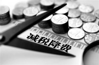 临潼区口碑好的办理营业执照承诺守信 西安通税财务咨询供应